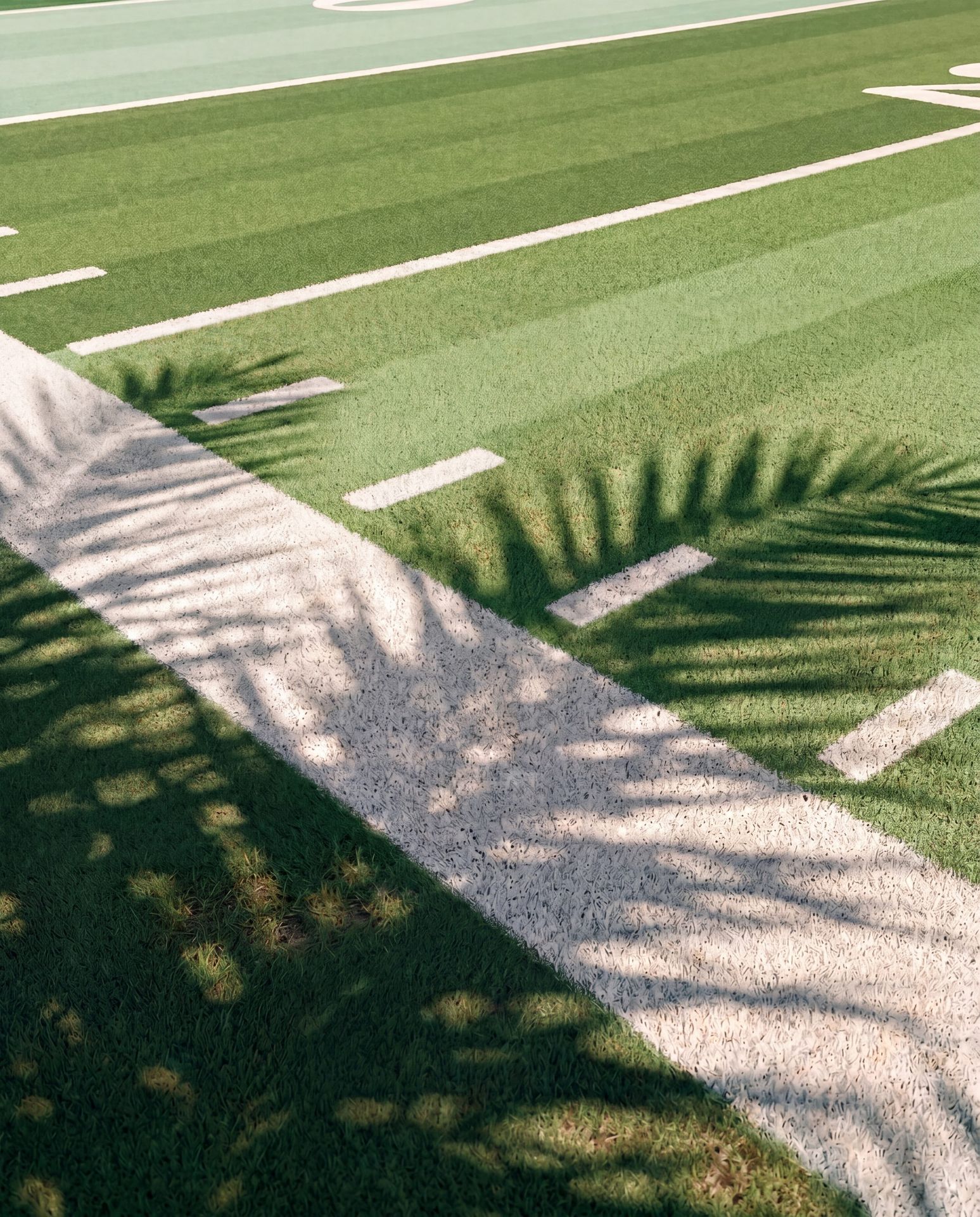 Football field with palm tree shadows in Tampa