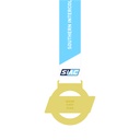 CONF-SIAC-SIAC8