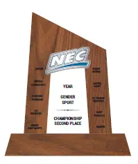 [BLD00170] CONF-NEC NEC-2 Tournament Runner-Up