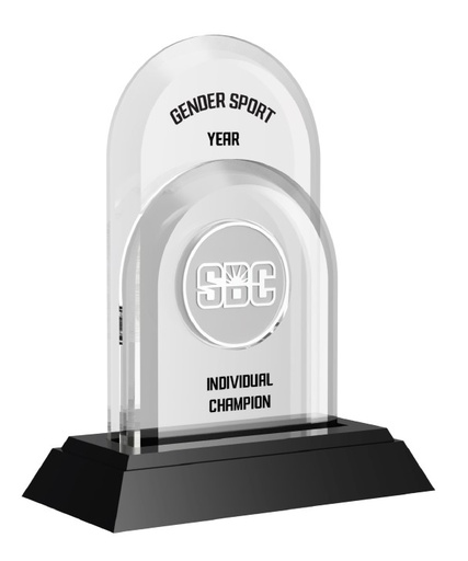 [BLD00191] CONF-SBC SBC27 Individual Award