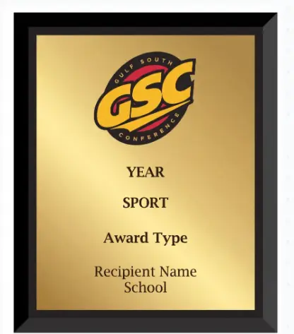 [BLD00131] Player/Freshman/Coach of the Year - GSC-9